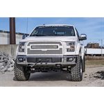 Hidden Winch Mount | Ford F-150 2WD / 4WD (2015-2020)