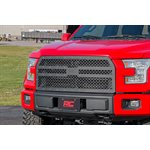 Mesh Grille | Ford F-150 2WD / 4WD (2015-2017)