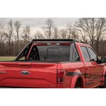 FORD SPORT BAR (04-18 F-150)